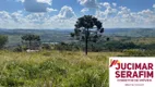 Foto 8 de Fazenda/Sítio com 4 Quartos à venda, 1000000m² em Perico, São Joaquim