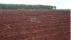 Foto 15 de Fazenda/Sítio à venda em Jardim Urano, São José do Rio Preto