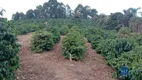 Foto 10 de Fazenda/Sítio com 2 Quartos à venda, 120000m² em Zona Rural, São João da Mata