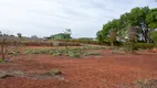 Foto 3 de Lote/Terreno à venda, 13000m² em Jardim Canedo II, Senador Canedo