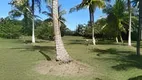 Foto 8 de Fazenda/Sítio com 2 Quartos à venda, 5000m² em Coqueiros de Arembepe Abrantes, Camaçari