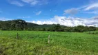 Foto 23 de Fazenda/Sítio com 3 Quartos à venda, 3630000m² em Centro, Guapó