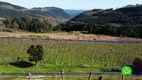 Foto 2 de Fazenda/Sítio à venda, 70000m² em Zona Rural, Monte Belo do Sul