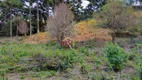 Foto 5 de Fazenda/Sítio à venda, 230000m² em J Paulista, Campos do Jordão