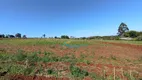 Foto 9 de Fazenda/Sítio com 3 Quartos à venda, 65000m² em , Santa Tereza do Oeste