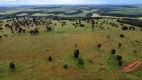 Foto 5 de Fazenda/Sítio com 5 Quartos à venda, 100m² em , Caçu