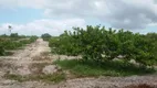 Foto 3 de Fazenda/Sítio com 2 Quartos à venda, 75000m² em Santa Agueda, Ceará Mirim