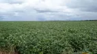 Foto 4 de Fazenda/Sítio com 3 Quartos à venda, 12454m² em Centro, Primavera do Leste