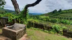 Foto 15 de Fazenda/Sítio à venda, 20000m² em Zona Rural, Santa Tereza