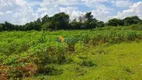 Foto 26 de Fazenda/Sítio com 1 Quarto à venda, 10000m² em Zona Rural, Marialva