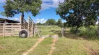 Foto 41 de Fazenda/Sítio com 3 Quartos à venda, 139m² em Zona Rural, Januária