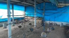 Foto 15 de Fazenda/Sítio com 1 Quarto à venda, 10000m² em , Feira Nova