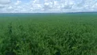 Foto 3 de Fazenda/Sítio à venda, 23000000m² em Centro, Santa Quitéria do Maranhão