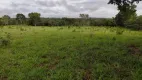 Foto 3 de Fazenda/Sítio com 3 Quartos à venda, 200m² em Zona Rural, Goianésia