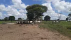 Foto 18 de Fazenda/Sítio com 3 Quartos à venda, 150000m² em Centro, Vera Cruz