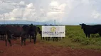 Foto 16 de Fazenda/Sítio com 15 Quartos à venda, 150m² em , Paraíso do Tocantins