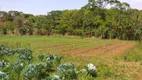 Foto 4 de Fazenda/Sítio à venda, 3250m² em Jardim Buriti Sereno, Aparecida de Goiânia