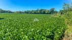 Foto 5 de Lote/Terreno à venda, 72000m² em Campo Largo da Roseira, São José dos Pinhais