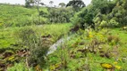 Foto 27 de Fazenda/Sítio à venda, 150000m² em Centro, São Joaquim