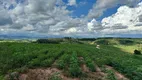 Foto 26 de Fazenda/Sítio com 3 Quartos à venda, 254100m² em Zona Rural, Jacutinga