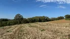 Foto 8 de Fazenda/Sítio à venda, 13000m² em Campo Novo, Campo Magro