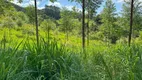 Foto 15 de Fazenda/Sítio à venda, 330000m² em Aratingauba, Imaruí