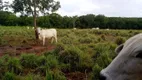 Foto 3 de Fazenda/Sítio com 1 Quarto à venda, 15m² em Zona Rural, Jangada