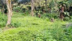 Foto 4 de Lote/Terreno à venda em Rural, Rio Rufino