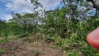 Foto 29 de Chácara com 1 Quarto à venda, 60m² em Zona Rural, Teresina de Goiás