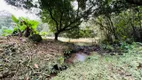 Foto 16 de Fazenda/Sítio com 3 Quartos à venda, 356950m² em Bateias, Campo Largo