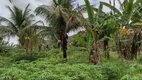 Foto 19 de Fazenda/Sítio com 4 Quartos à venda, 87000m² em Belvedere, Serra