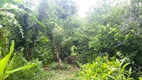 Foto 3 de Fazenda/Sítio com 2 Quartos à venda, 16000m² em Campestre da Faxina, São José dos Pinhais