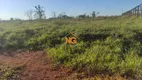 Foto 8 de Lote/Terreno à venda, 4000m² em , Mateus Leme