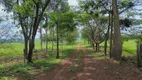 Foto 57 de Fazenda/Sítio com 3 Quartos à venda, 6000m² em Area Rural de Uberlandia, Uberlândia