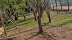 Foto 7 de Fazenda/Sítio à venda, 6000m² em Floresta, Porto Velho