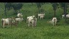 Foto 6 de Fazenda/Sítio à venda em Centro, Água Fria de Goiás