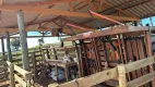 Foto 14 de Fazenda/Sítio à venda, 178838m² em Zona Rural, Itaguajé