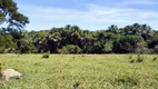 Foto 22 de Fazenda/Sítio com 3 Quartos à venda, 90m² em Zona Rural, Jaraguá