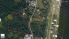 Foto 13 de Lote/Terreno à venda, 22633m² em Ratones, Florianópolis