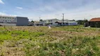 Foto 2 de Lote/Terreno para alugar, 720m² em Morada dos Alpes, Caxias do Sul