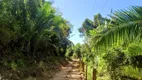 Foto 34 de Fazenda/Sítio com 1 Quarto à venda, 140m² em Zona Rural, Colinas do Sul