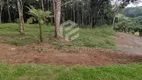 Foto 4 de Lote/Terreno à venda, 1000m² em Bateias de Baixo, Campo Alegre