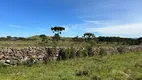 Foto 8 de Fazenda/Sítio à venda, 20000m² em , Urubici