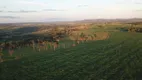 Foto 10 de Fazenda/Sítio com 3 Quartos à venda, 100m² em Zona Rural, Piracanjuba