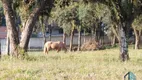 Foto 20 de Lote/Terreno à venda, 31420m² em Campina do Taquaral, São José dos Pinhais