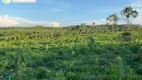Foto 10 de Fazenda/Sítio à venda, 16940000m² em Zona Rural, Divinópolis do Tocantins