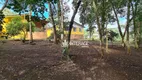 Foto 32 de Fazenda/Sítio com 2 Quartos à venda, 150m² em Samambaia, Campo Magro