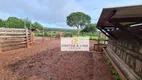Foto 27 de Fazenda/Sítio com 10 Quartos à venda, 800m² em Vila Cearense, Araguaína