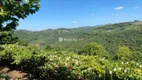 Foto 16 de Lote/Terreno à venda, 150000m² em Vale dos Vinhedos, Bento Gonçalves