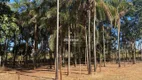 Foto 5 de Fazenda/Sítio com 2 Quartos à venda, 180m² em Chácaras Eldorado, Uberlândia